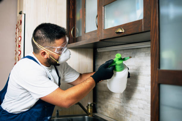 Best Affordable Pest Control Services  in Richmond, UT